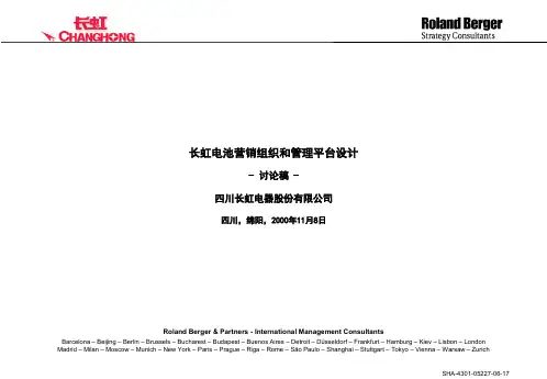 罗兰贝格-长虹电池营销组织和管理平台设计