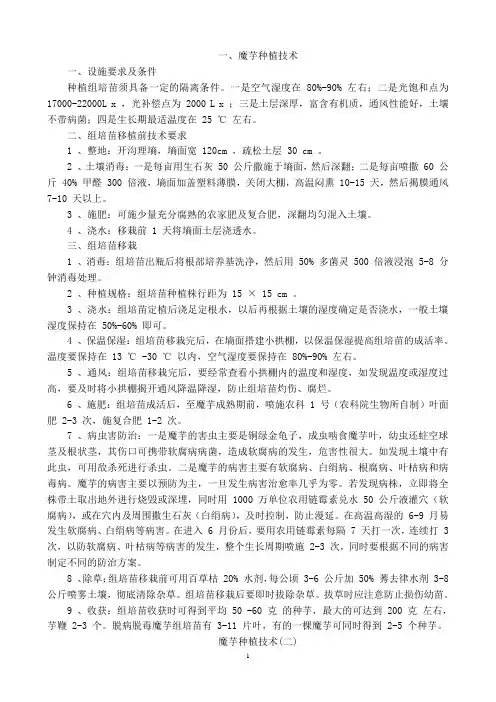 魔芋种植技术以及魔芋豆腐的传统加工(至今最好的关于魔芋的文档)