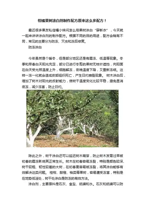 柑橘果树涂白剂制作配方原来这么多配方！