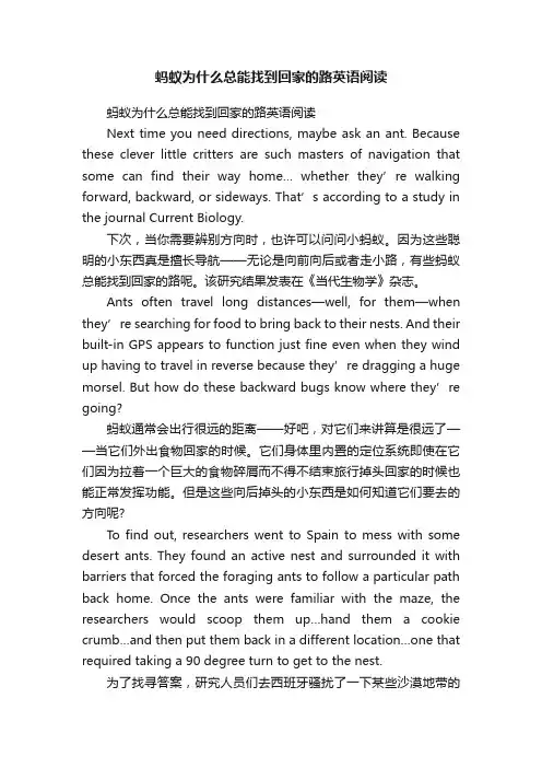 蚂蚁为什么总能找到回家的路英语阅读