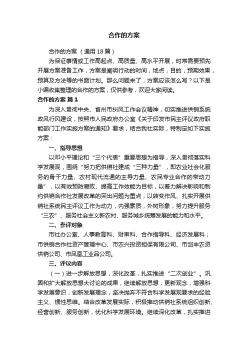 合作的方案（通用18篇）