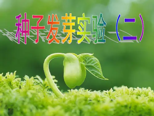 五年级科学种子发芽实验(二)优秀课件