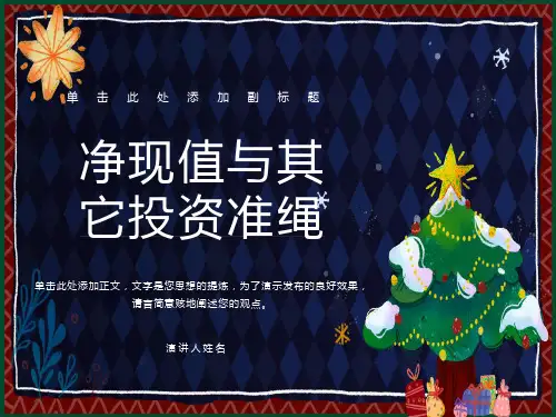 净现值与其它投资准绳