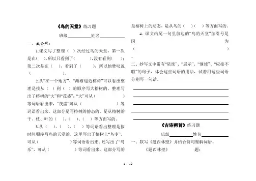 鸟的天堂练习题