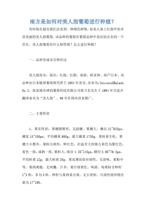 南方是如何对美人指葡萄进行种植？