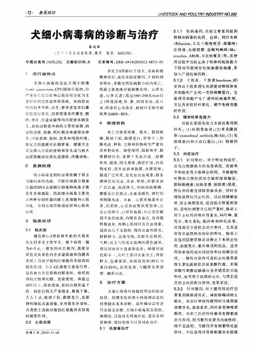 犬细小病毒病的诊断与治疗