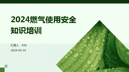 2024燃气使用安全知识培训 PPT课件