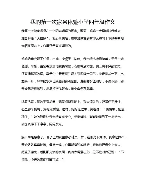 我的第一次家务体验小学四年级作文
