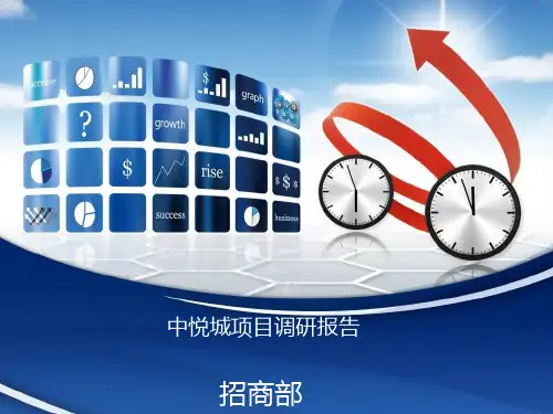 中悦城项目调研报告