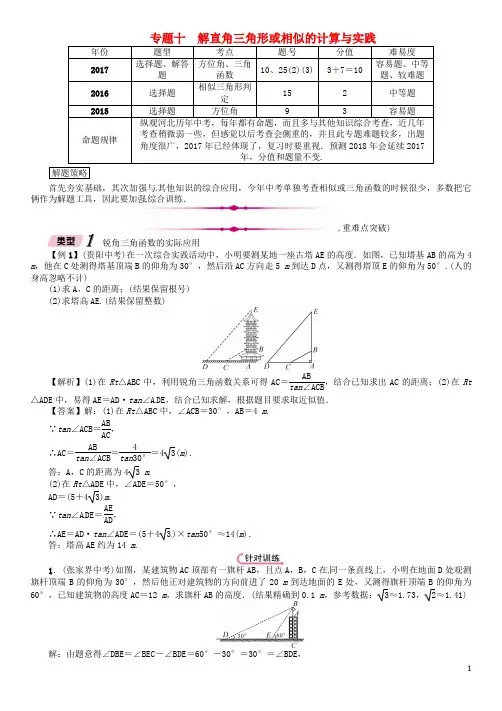 河北省2018年中考数学总复习第二编专题突破篇专题10解直角三角形或相似的计算与实践精讲试题2017120716