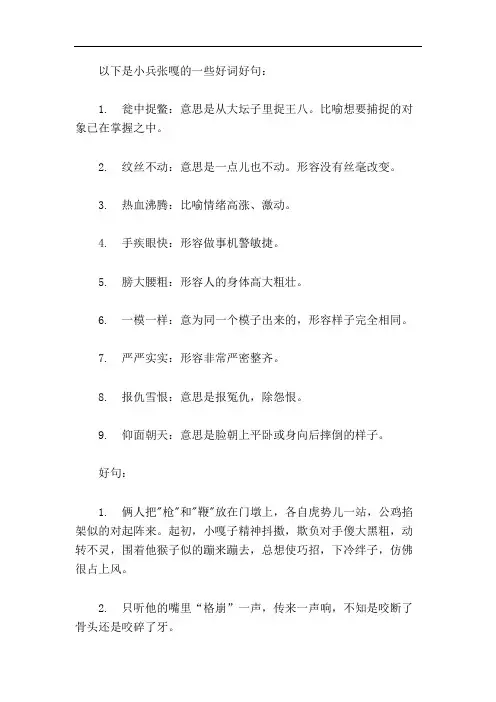 小兵张嘎好词好句好段摘抄