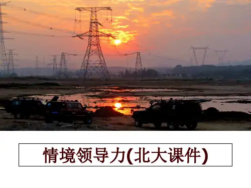 最新情境领导力(北大课件)