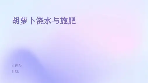 胡萝卜浇水与施肥
