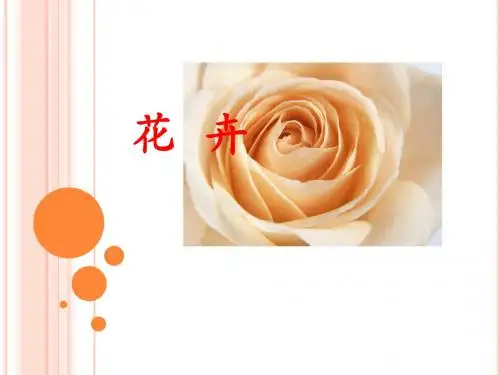 花卉知识