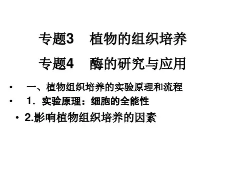 高中生物选修1《专题3、4》复习课件