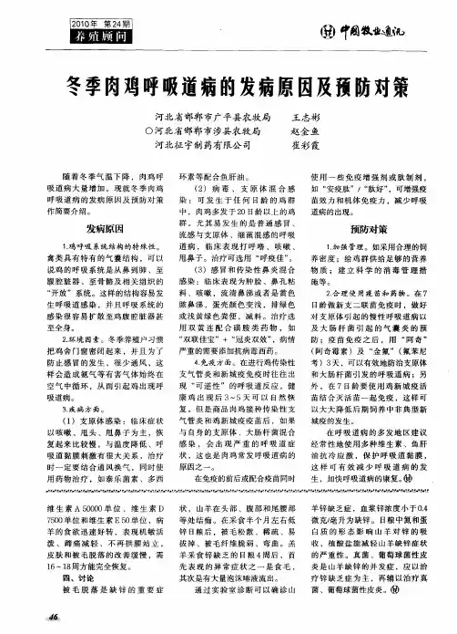 冬季肉鸡呼吸道病的发病原因及预防对策