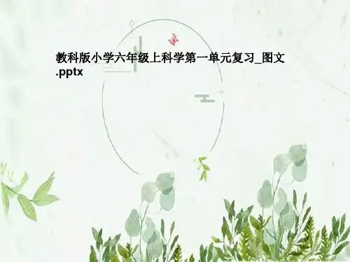 教科版小学六年级上科学第一单元复习_图文