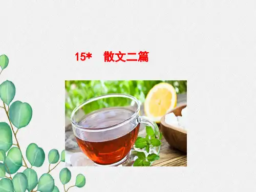 《散文二篇  》课件 (公开课一等奖)2022年部编版小学语文