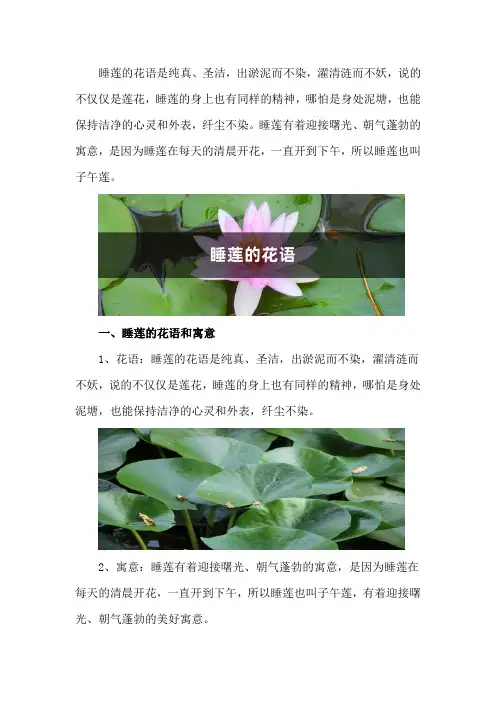 睡莲的花语和寓意,有什么传说故事