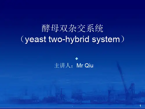 酵母双杂交系统PPT课件