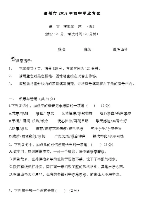 最新2019--2020年山东省滨州市中考语文模拟检测试题及答案解析(五)