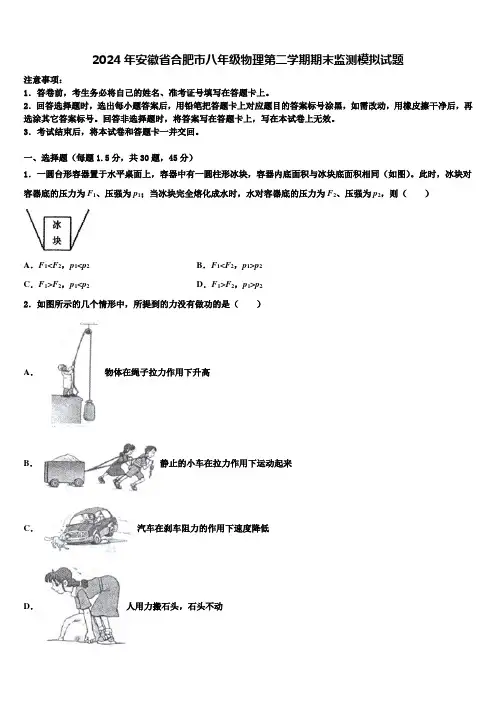 2024年安徽省合肥市八年级物理第二学期期末监测模拟试题含解析