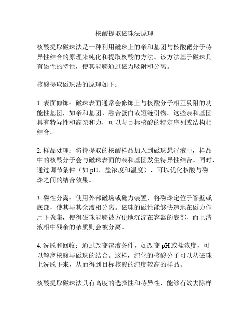 核酸提取磁珠法原理