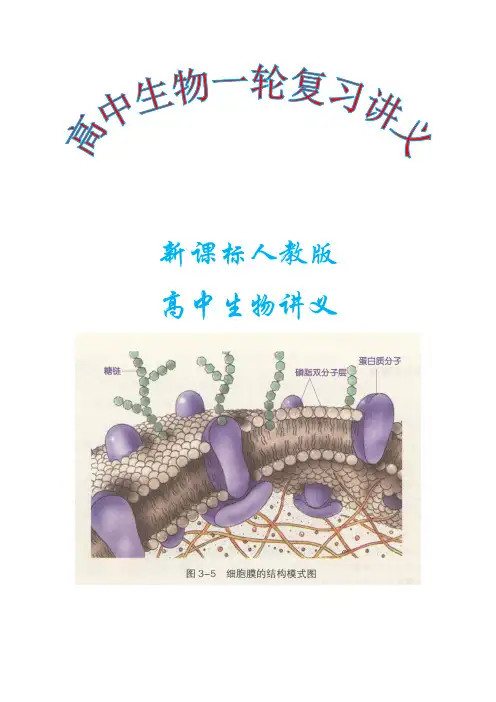 人教版2020年高考生物大一轮复习讲义完整版PDF