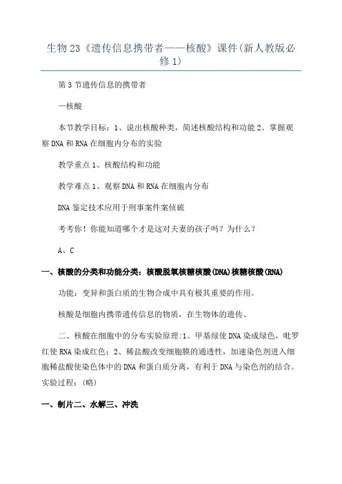 生物23《遗传信息携带者——核酸》课件(新人教版必修1)