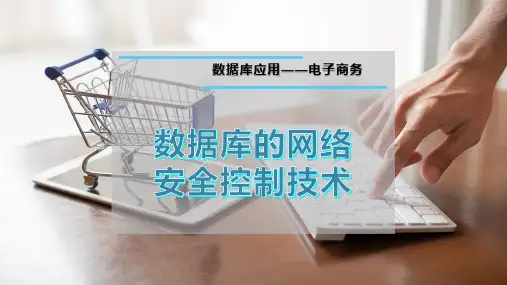 数据库的网络安全控制技术