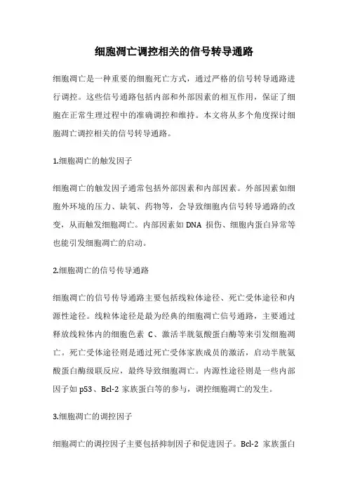 细胞凋亡调控相关的信号转导通路