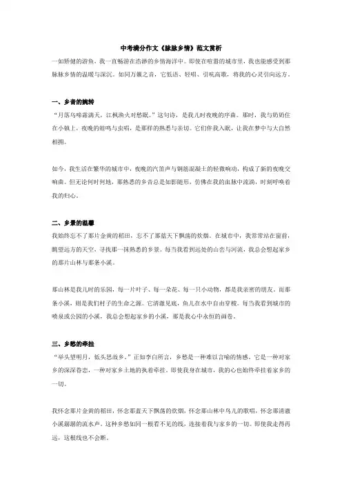中考满分作文《脉脉乡情》范文赏析