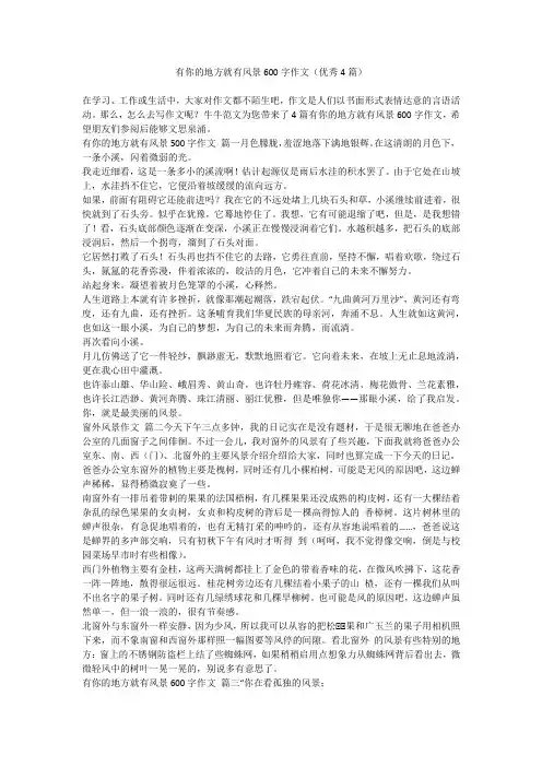 2023最新-有你的地方就有风景600字作文(优秀4篇)