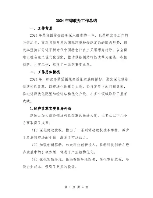 2024年综改办工作总结