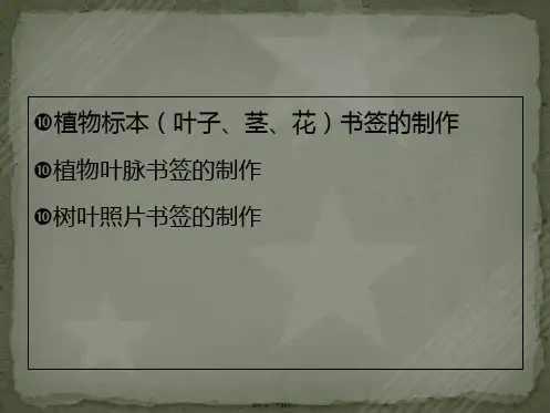 植物书签的制作