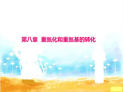 精细高分子PPT第八章  重氮化