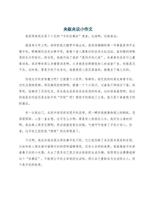 夹叙夹议小作文