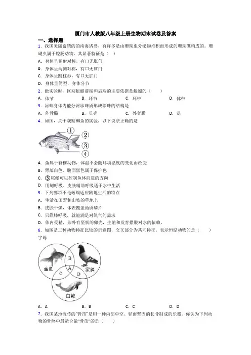 厦门市人教版八年级上册生物期末试卷及答案