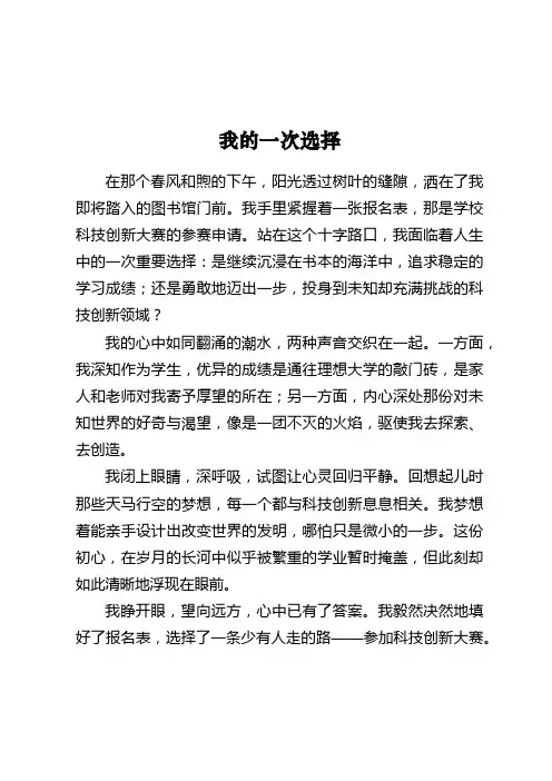 我的一次选择