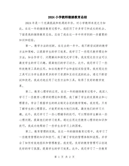 2024小学教师继续教育总结