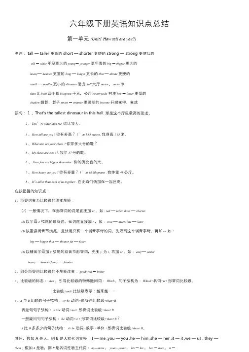 pep六年级英语下册知识点总结.doc