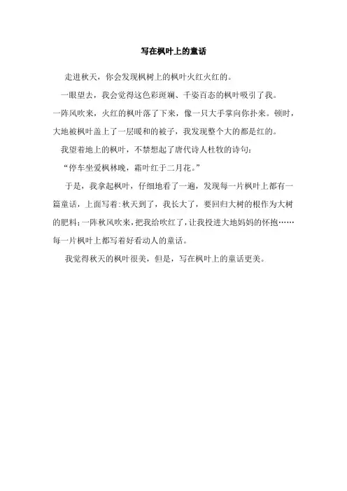 写在枫叶上的童话8