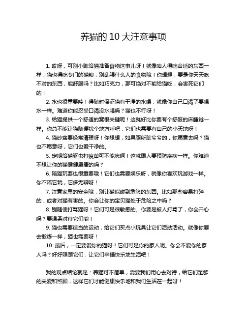 养猫的10大注意事项