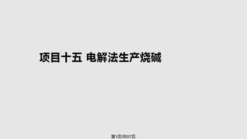 项目十五电解法生产烧碱PPT课件