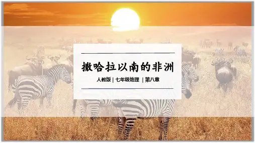 撒哈拉以南非洲ppt课件