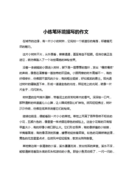小练笔环境描写的作文