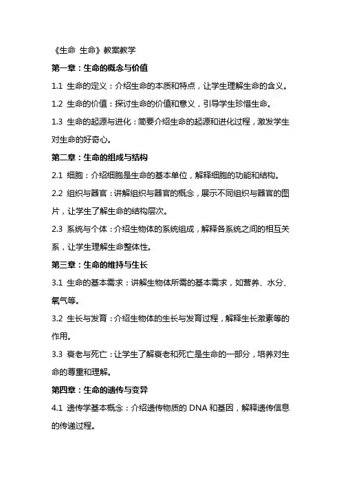《生命 生命》教案教学