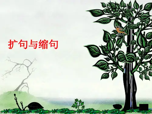 缩句、扩句课件