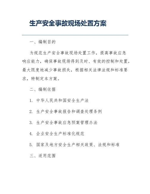 生产安全事故现场处置方案