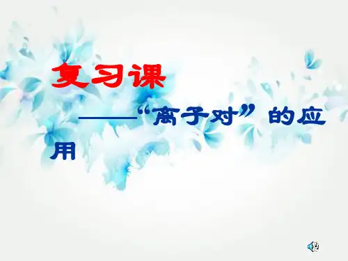 离子对的应用PPT教学课件